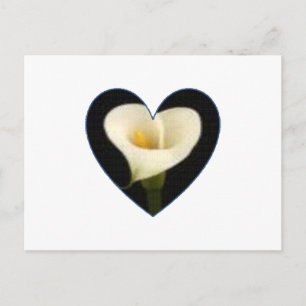 Calla het Briefkaart van het Hart van de Lelie