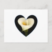Calla het Briefkaart van het Hart van de Lelie (Voorkant)