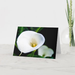 Calla het Wenskaart van de Lelie Kaart