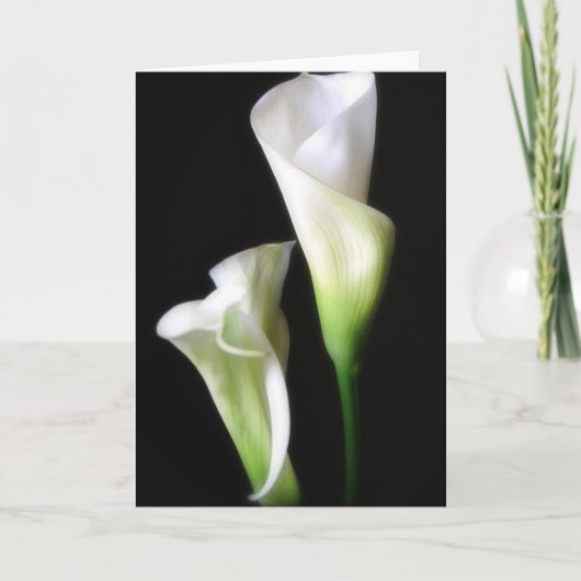 Calla Lelie 2 Kaart (Voorkant)