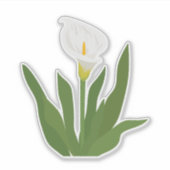 Calla lelie bloem sticker (Voorkant)