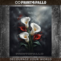 Calla lelies bloemen compositie #2 op zwart