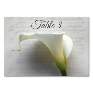 Calla lib op handschrift kaart