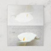 Calla lib op oud handschrift (Buitenkant ongevouwen)