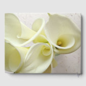 Calla liegt boven de kop gastenboek (Achterkant)