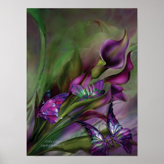 Calla Lilies Art Poster/Print Poster (Voorkant)