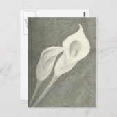 Calla Lilies Briefkaart (Voorkant / Achterkant)