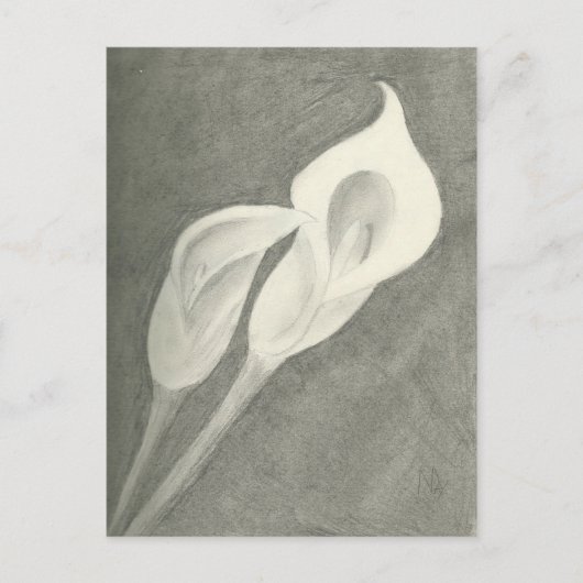 Calla Lilies Briefkaart (Voorkant)
