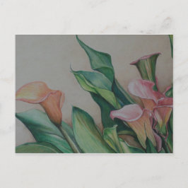 Calla Lilies Briefkaart
