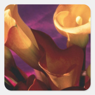 Calla Lilies-Collectie Vierkante Sticker