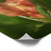 Calla Lilies Dans Calla Vase Poster D'Art / Imprim (Coin)