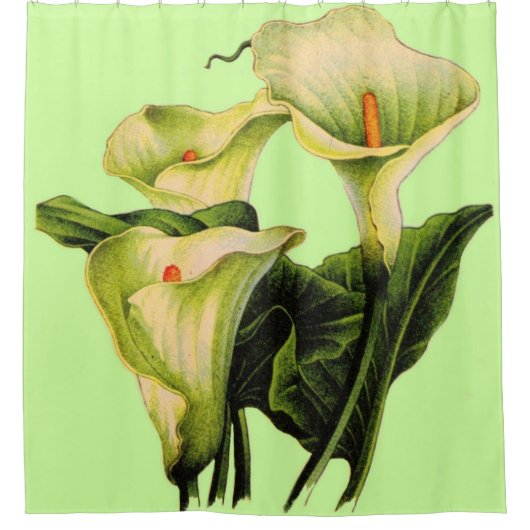 Calla lilies, druk douchegordijn (Voorkant)