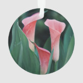 Calla Lilies Fleurs Roses (dos)