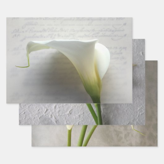 Calla lilies het Verpakken van de Reeks van het Pa Inpakpapier Vel (Set)