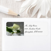 Calla Lilies op White Lace Etiket (Insitu)