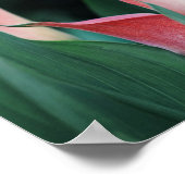 Calla Lilies roze bloemen Poster (Hoek)
