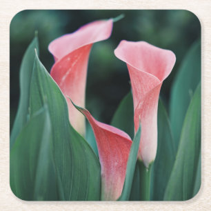 Calla Lilies roze bloemen Vierkante Kartonnen Onderzetter