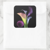 Calla Lilies Stickers (Tas)