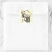 Calla Lilies Tekening Vierkante Sticker (Tas)