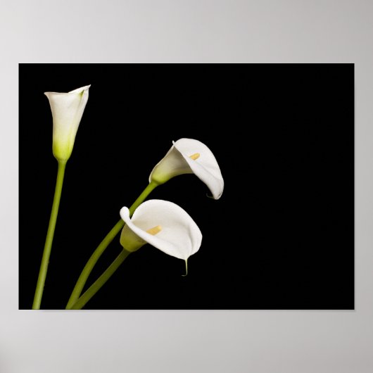 Calla lillies print (Voorkant)