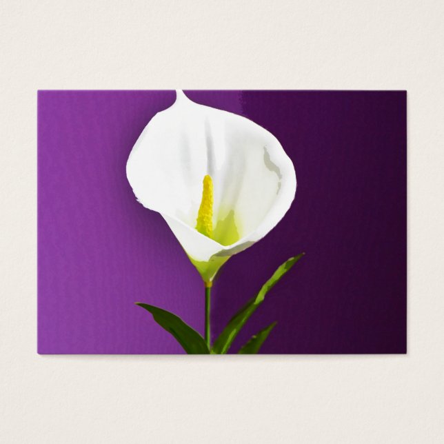 Calla Lilly (Devant)