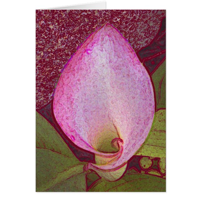 Calla Lilly (Voorkant)