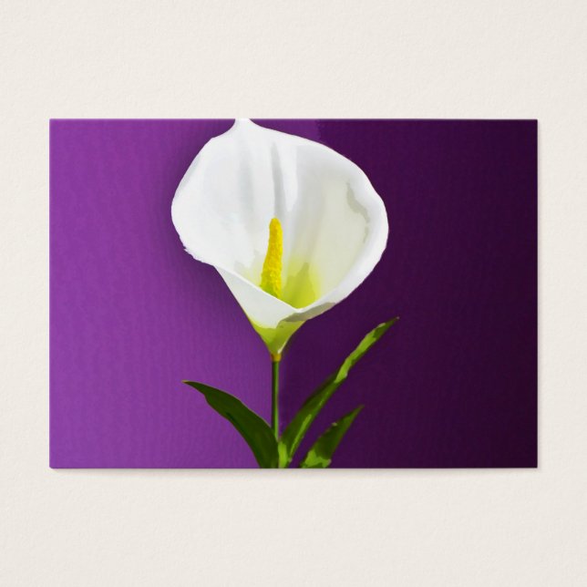 Calla Lilly (Devant)