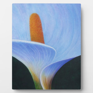 Calla Lilly Fotoplaat