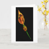 Calla Lilly Kaart (Gele Bloem)