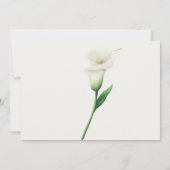 Calla Lilly Kaart (Achterkant)