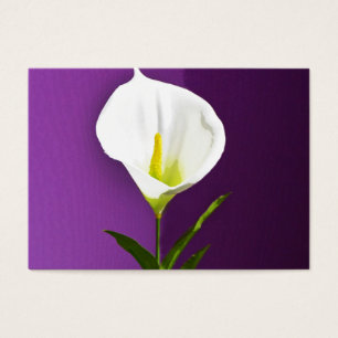 Calla Lilly Visitekaartjes