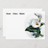 Calla Lily (Voorkant / Achterkant)