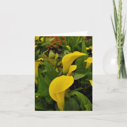 Calla lily bedankkaart (Voorkant)