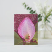 Calla Lily Briefkaart (Staand voorkant)