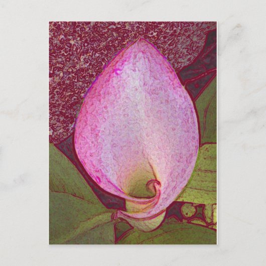 Calla Lily Briefkaart (Voorkant)