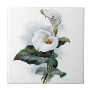 Calla Lily Design Tegeltje