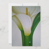 Calla Lily Faire-part de mariage Floral (Dos)