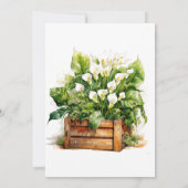 Calla Lily Fleurs Invitations de fête d'anniversai (Dos)