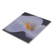 Calla Lily Illustration Carreaux céramiques collec (Côté)