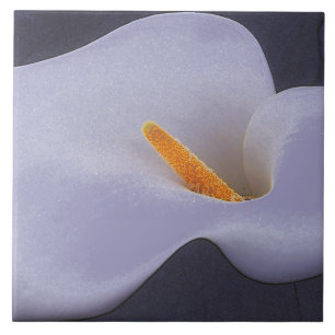 Calla Lily Illustration Verzamelbare Keramische Te Tegeltje