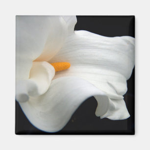Calla lily magnet magneet