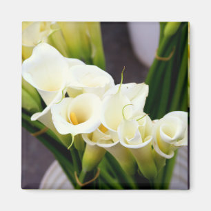 calla lily magnet magneet