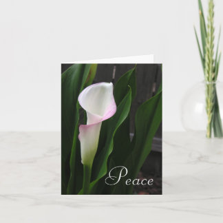 Calla Lily Note kaarten