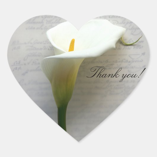 Calla lily op oud handschrift bedankt u hart sticker (Voorkant)
