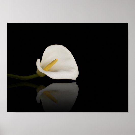 Calla lily print (Voorkant)