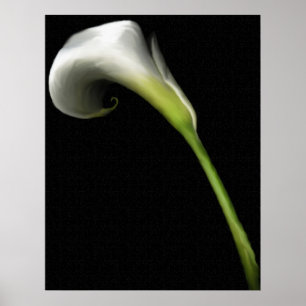 Calla Lily Prints
