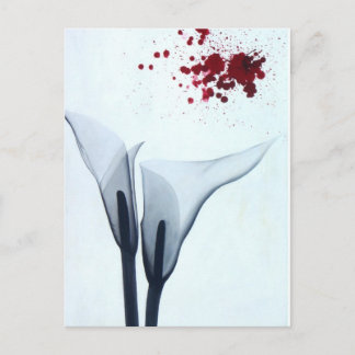 Calla Lily röntgenfoto Briefkaart