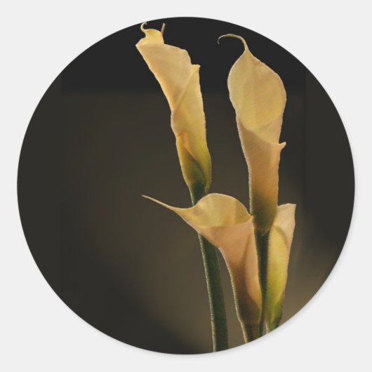 Calla Lily sticker (Voorkant)
