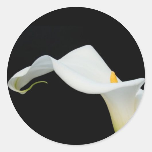 Calla Lily Sticker/Seal Ronde Sticker (Voorkant)