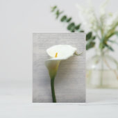 calla lily sur carte postale ancienne (Debout devant)